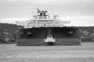 JALINGA (VI)