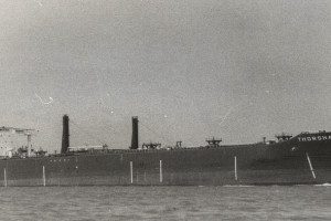 JASTELLA (II)