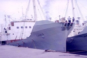 THORIS (II)