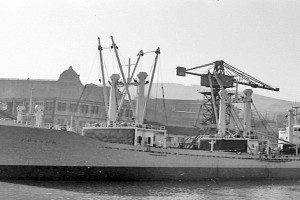 FOSSUM (2)