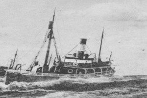 SKJOLD