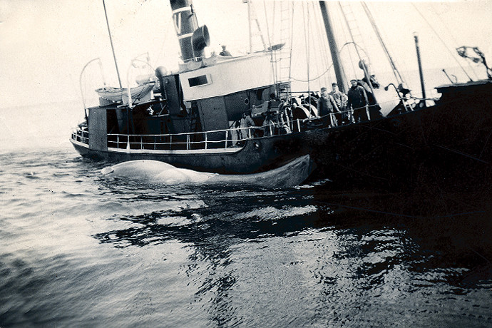 EDDA