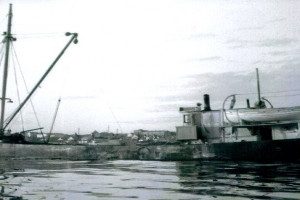 HAVØRN