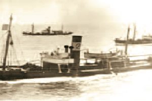 HAVØRN