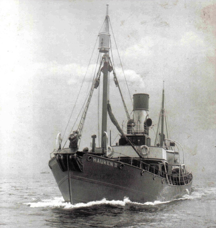 HAUKEN II