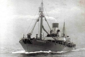 HAUKEN II