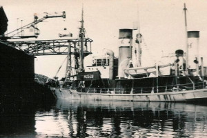 INGEBORG