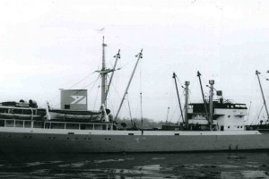 BOMMA (II)