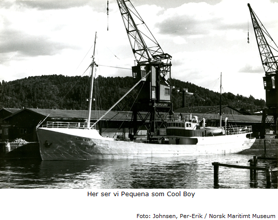 NEB II