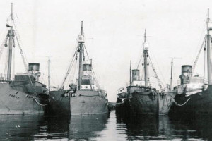 TORILD