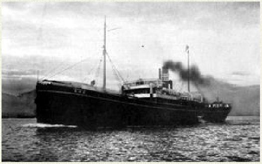 STANDARD (1)