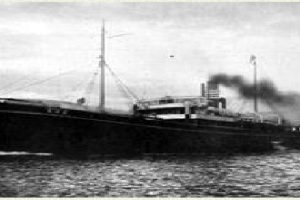 STANDARD (1)