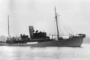 THOR JUNIOR (II)
