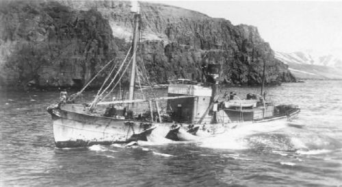TORDØNN
