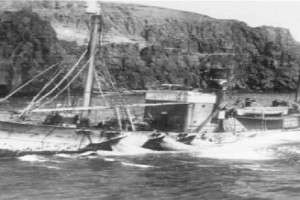 TORDØNN