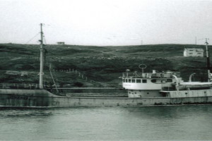 TORILD
