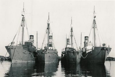 TORILD