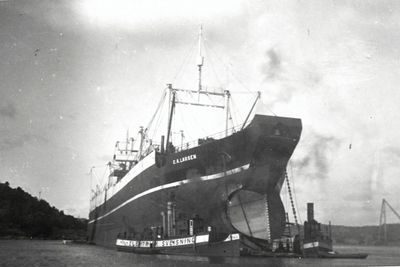 C. A. LARSEN