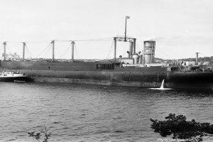 THORSHAMMER (I)