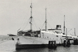 TORODD