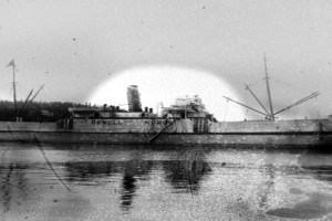 CONGO (ex WHALE)