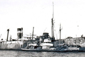 CONGO (ex WHALE)