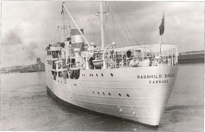 RAGNHIld BRØVIG