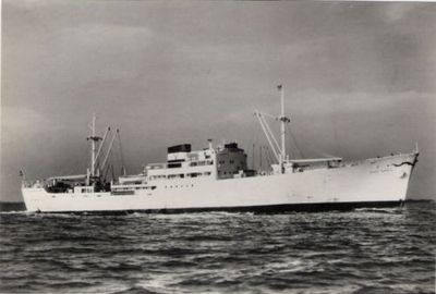 RANDI BRØVIG (1)