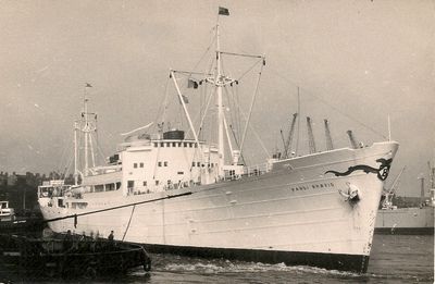 RANDI BRØVIG (1)