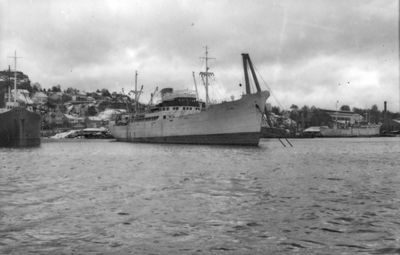 SCEBELI