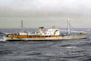 SYVERN (II)