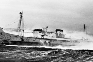 THORØRN