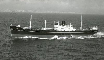ELISABETH BAKKE