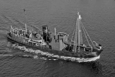 SUDERØY XII