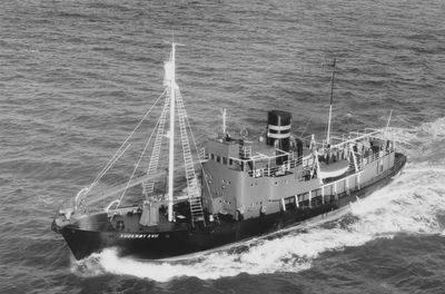 SUDERØY XVII