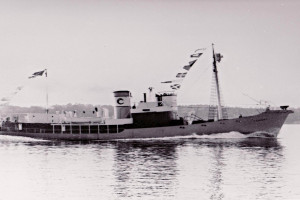 FEMERN (III)