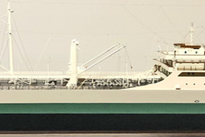 THORSAGA (I)