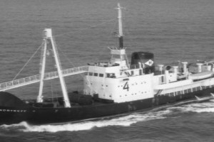 NORTREFF