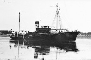 STAR XIV