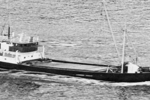STAR XIV