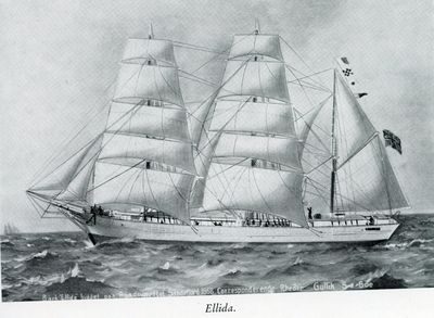 ELIDA "Bellida"