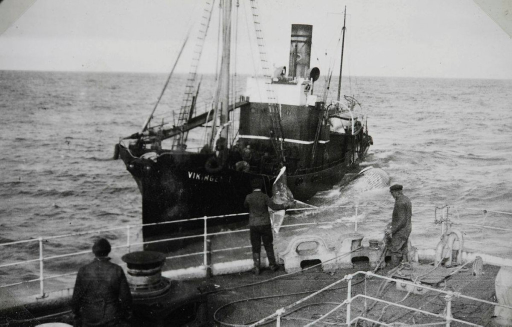 VIKINGEN V