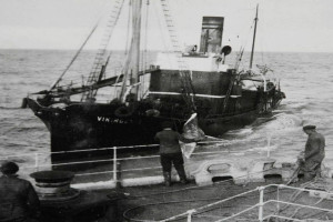 VIKINGEN V