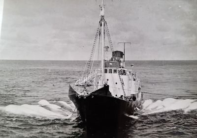 GOS XII