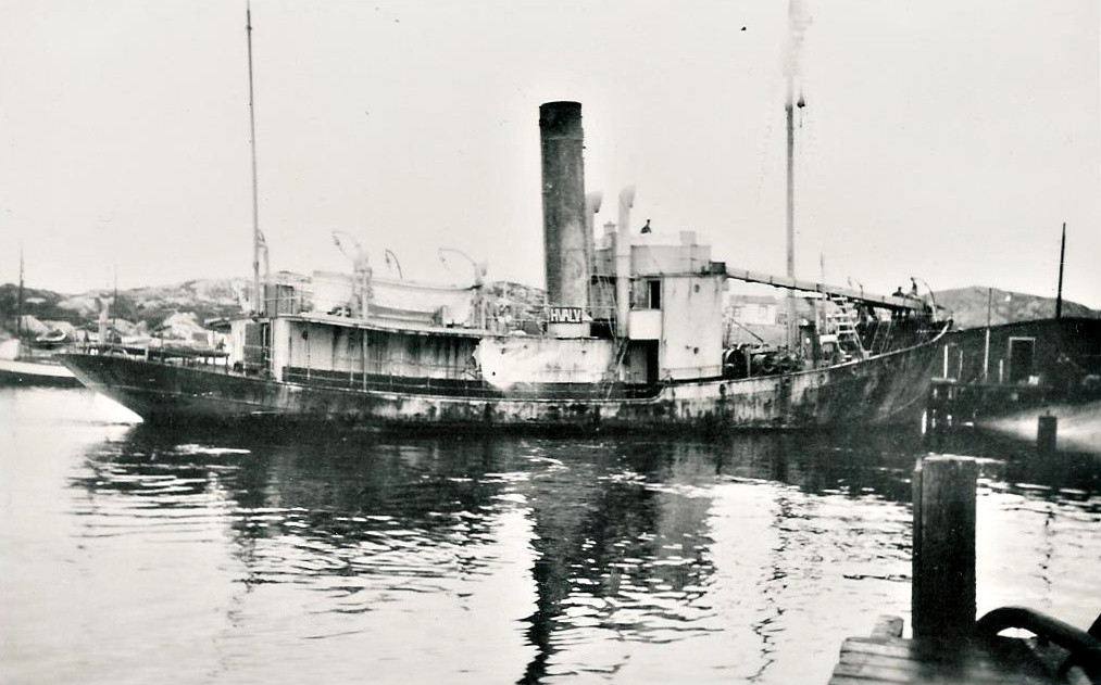 STAR XII