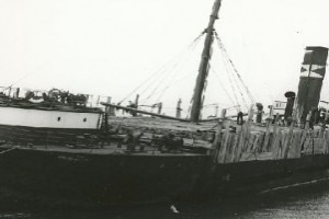 SAIMA (1)