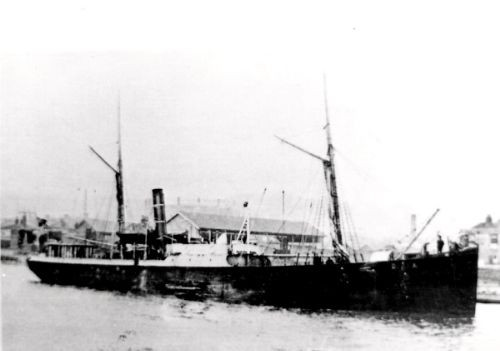 DIANA (1)