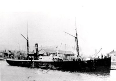 DIANA (1)
