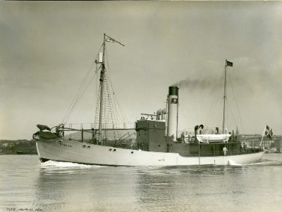 STAR XVI