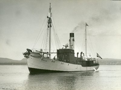 STAR XVI